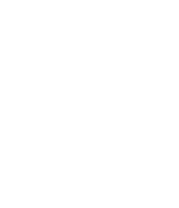 Ergen Danışmanlığı
