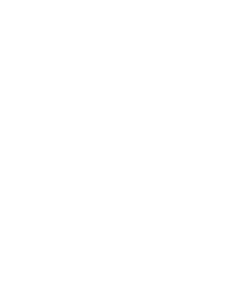Ergen Danışmanlığı